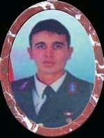 MUSTAFA SEFA KÖK